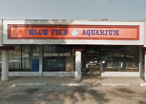Blue Fish Aquarium storefront