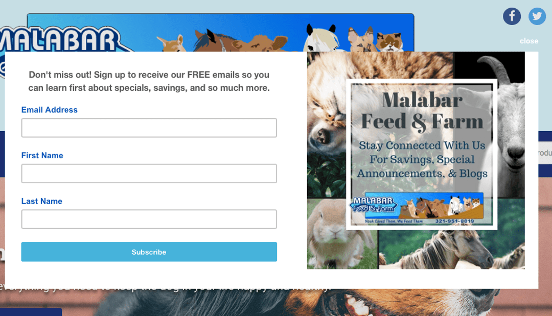 Using a Website Pop-Up to Collect Email Addresses