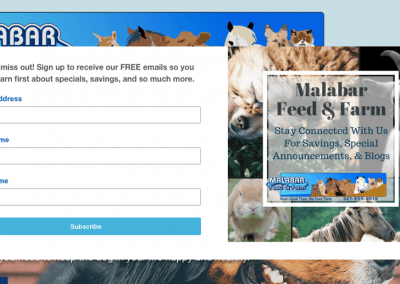 Using a Website Pop-Up to Collect Email Addresses